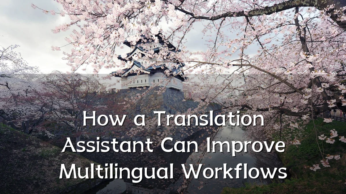 How a Translation Assistant Can Improve Multilingual Workflows