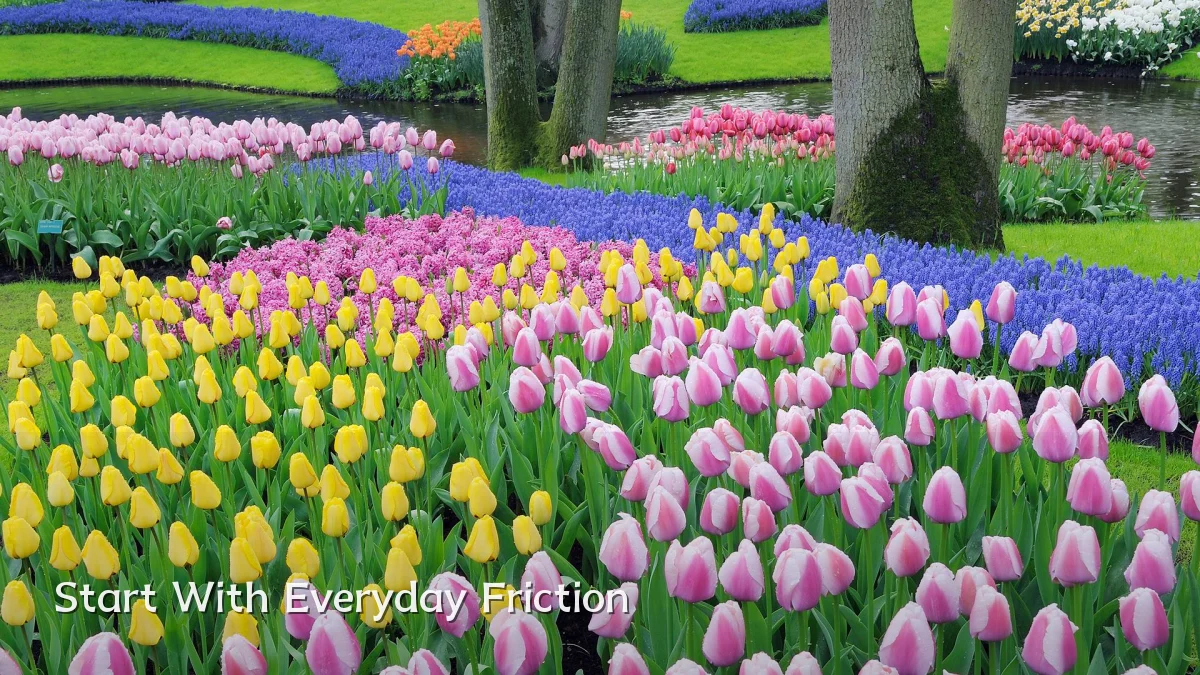 Start With Everyday Friction