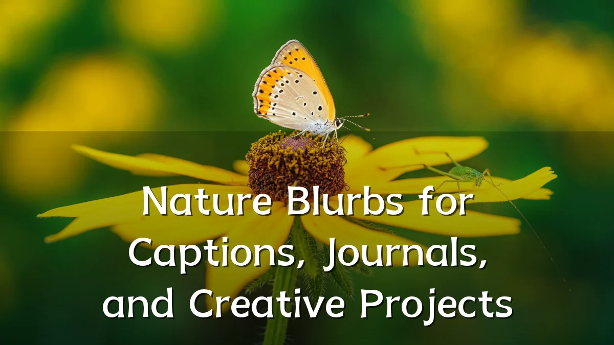 Nature Blurbs for Captions, Journals, and Creative Projects