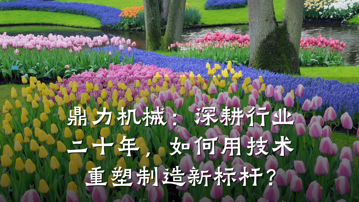 鼎力机械:深耕行业二十年,如何用技术重塑制造新标杆?
