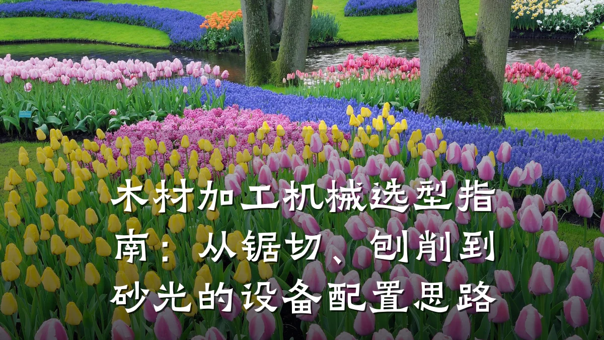 木材加工机械选型指南:从锯切、刨削到砂光的设备配置思路
