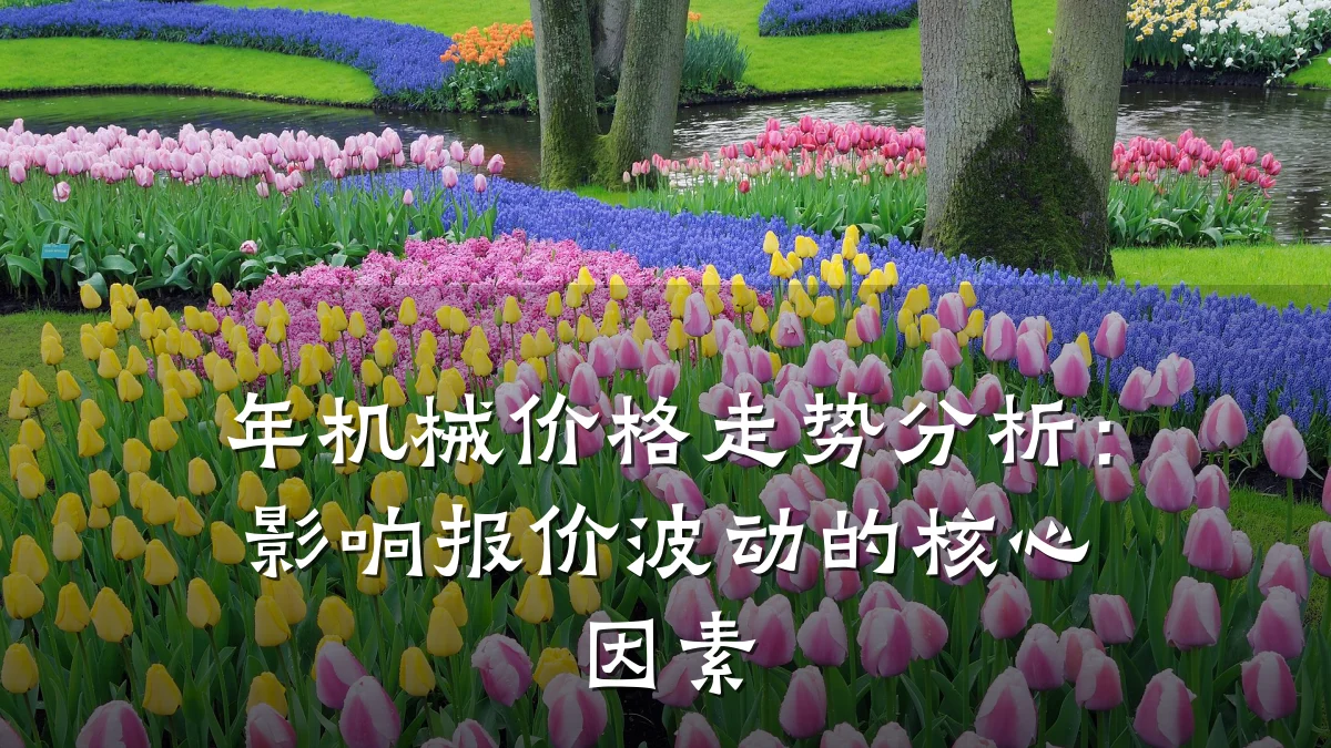 年机械价格走势分析:影响报价波动的核心因素
