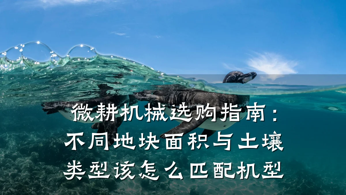 微耕机械选购指南:不同地块面积与土壤类型该怎么匹配机型
