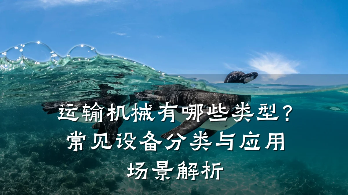 运输机械有哪些类型?常见设备分类与应用场景解析