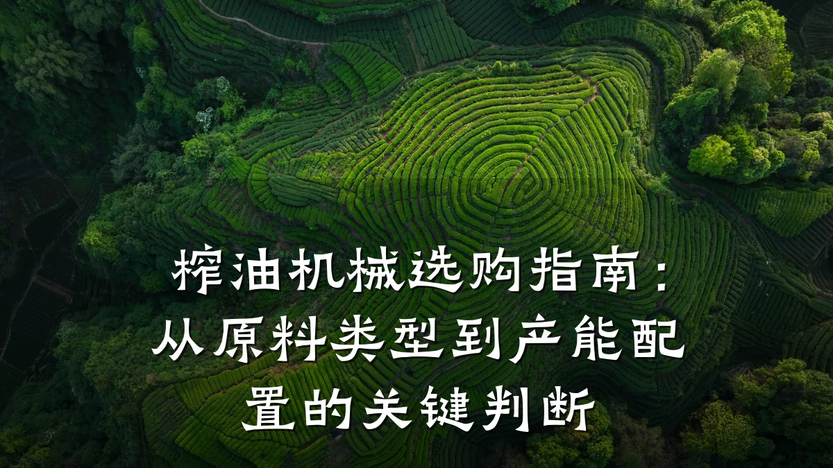 榨油机械选购指南:从原料类型到产能配置的关键判断