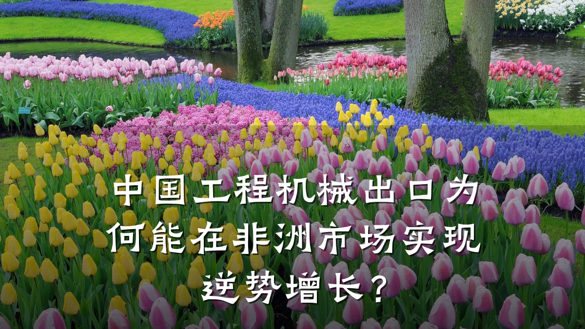 中国工程机械出口为何能在非洲市场实现逆势增长?