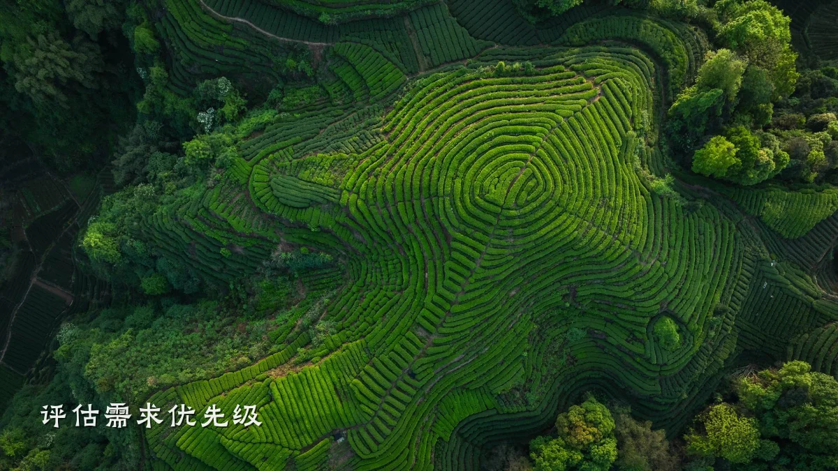 评估需求优先级