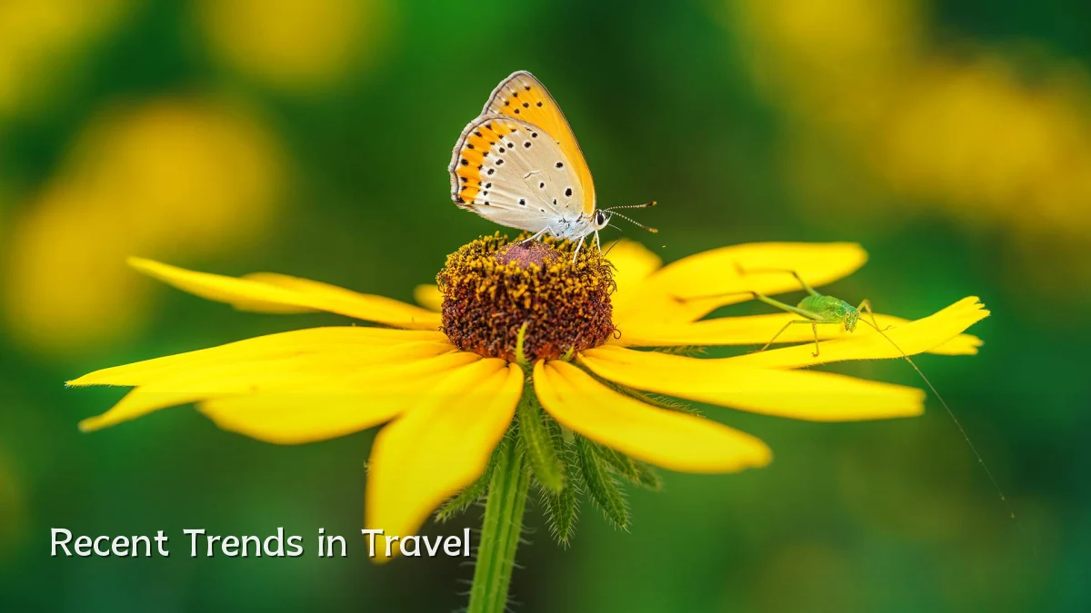 Recent Trends in Travel