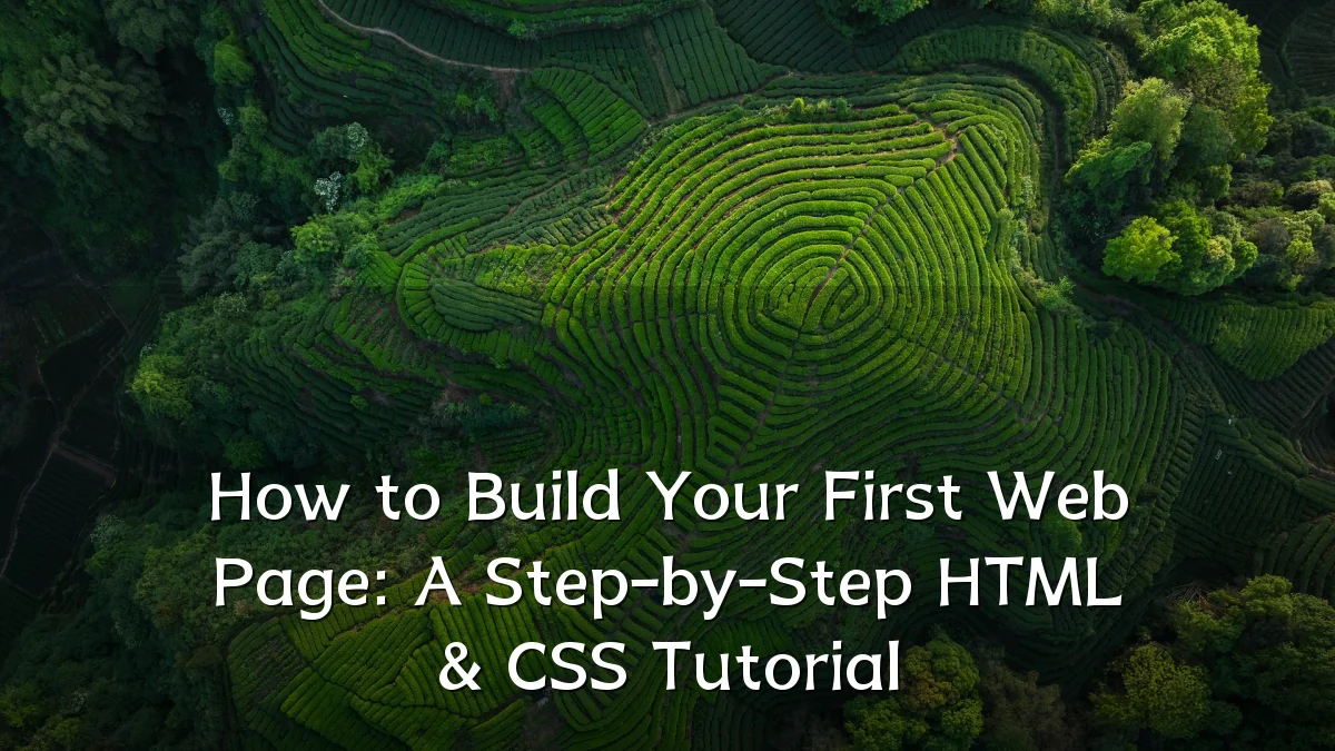 How to Build Your First Web Page: A Step-by-Step HTML & CSS Tutorial