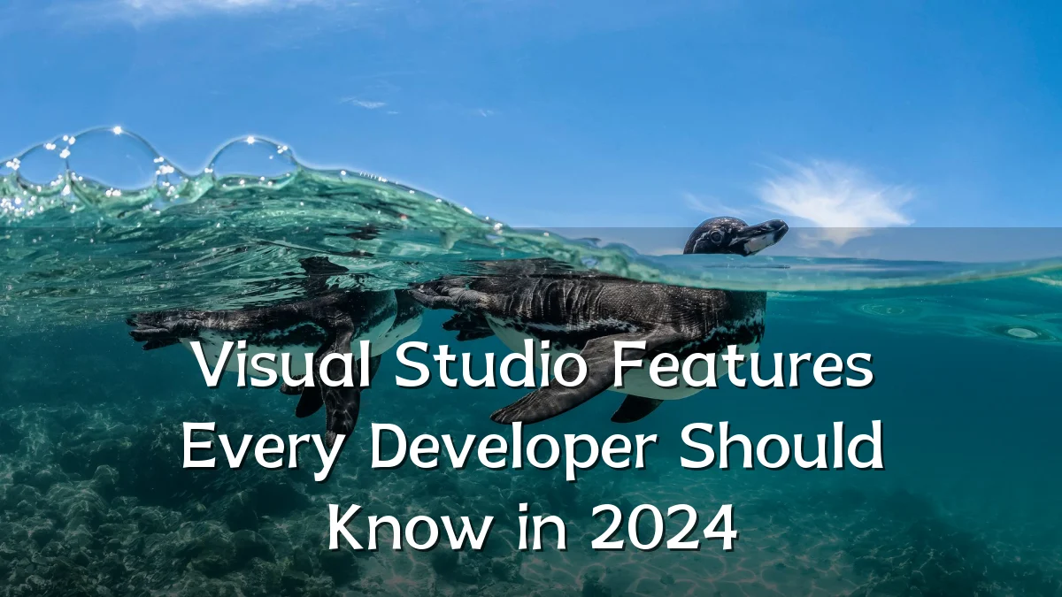 Visual Studio Features Every Developer Should Know in 2024