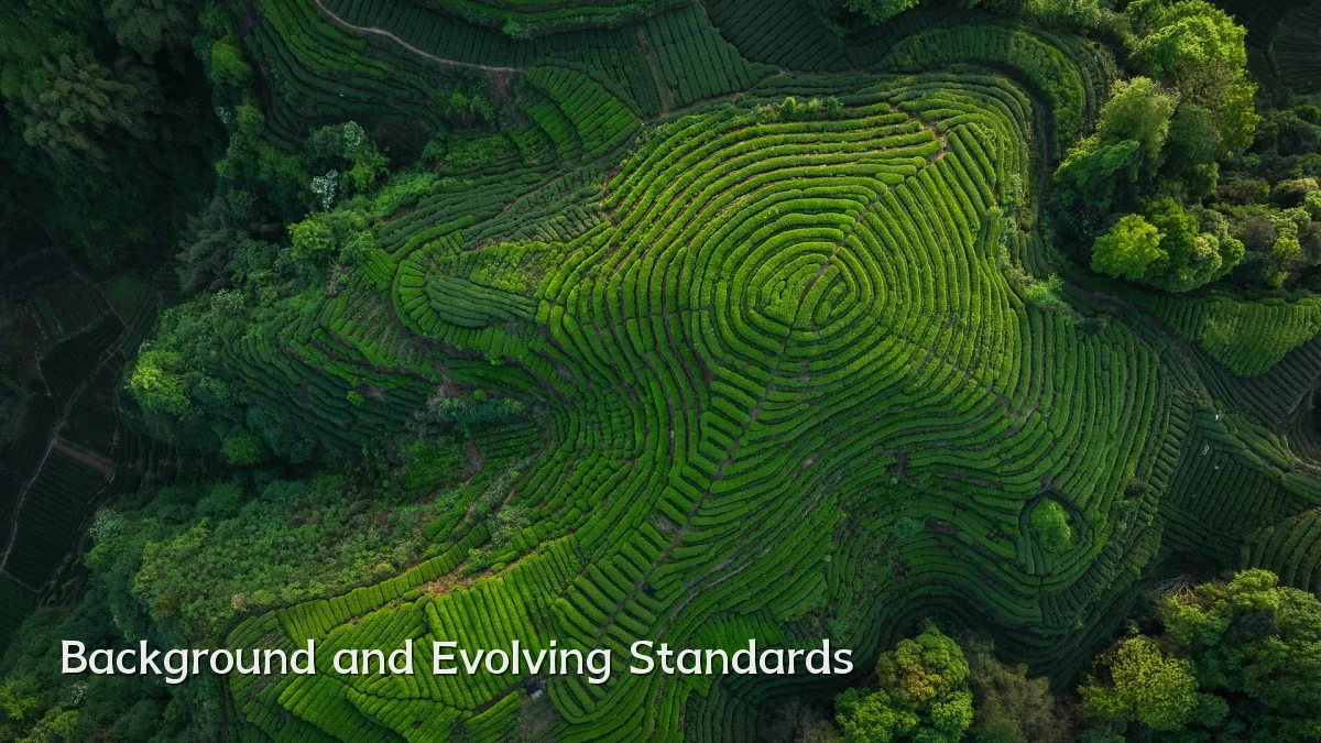 Background and Evolving Standards