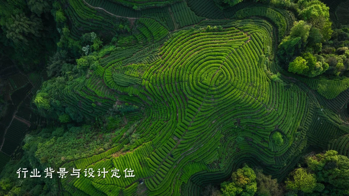 行业背景与设计定位