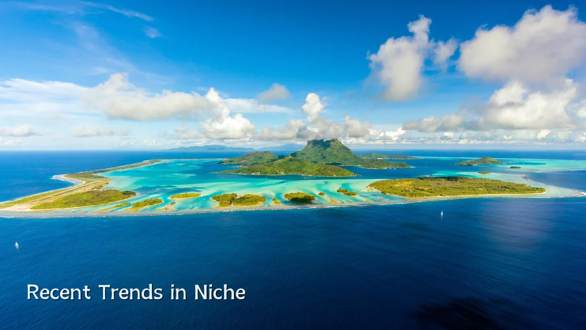 Recent Trends in Niche