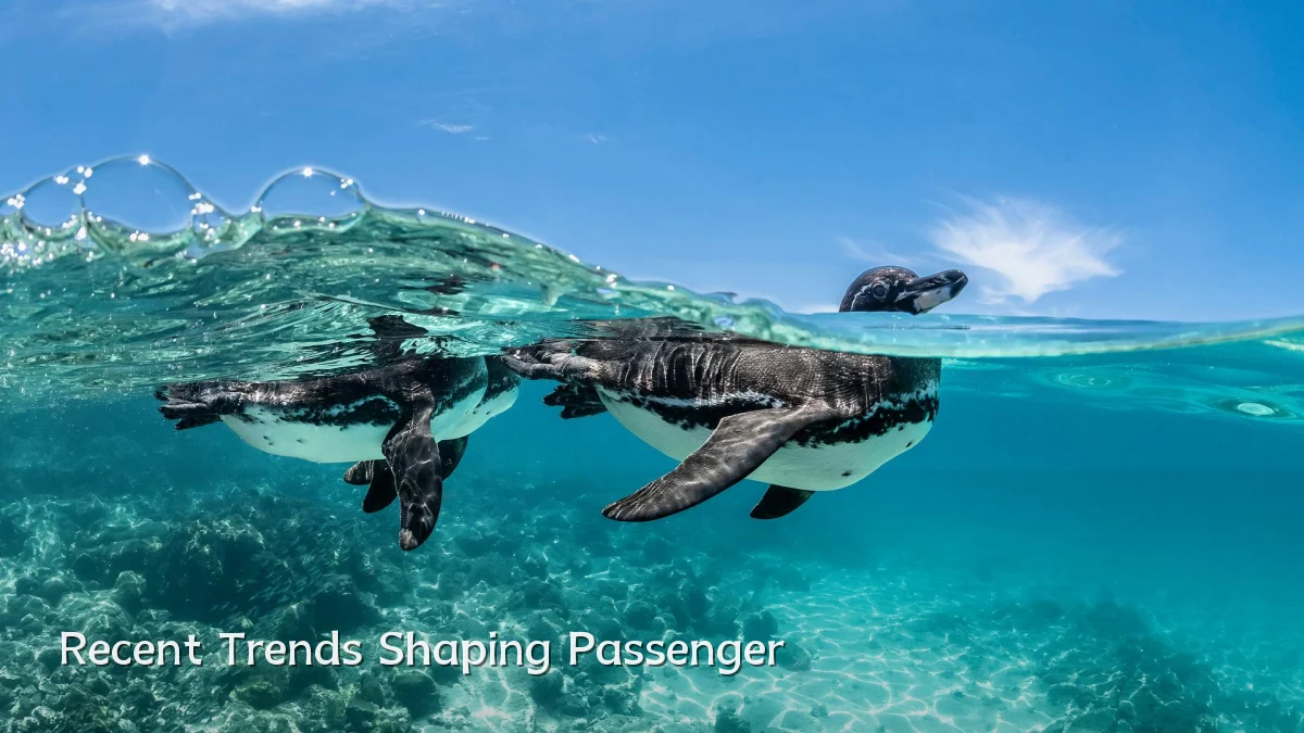 Recent Trends Shaping Passenger