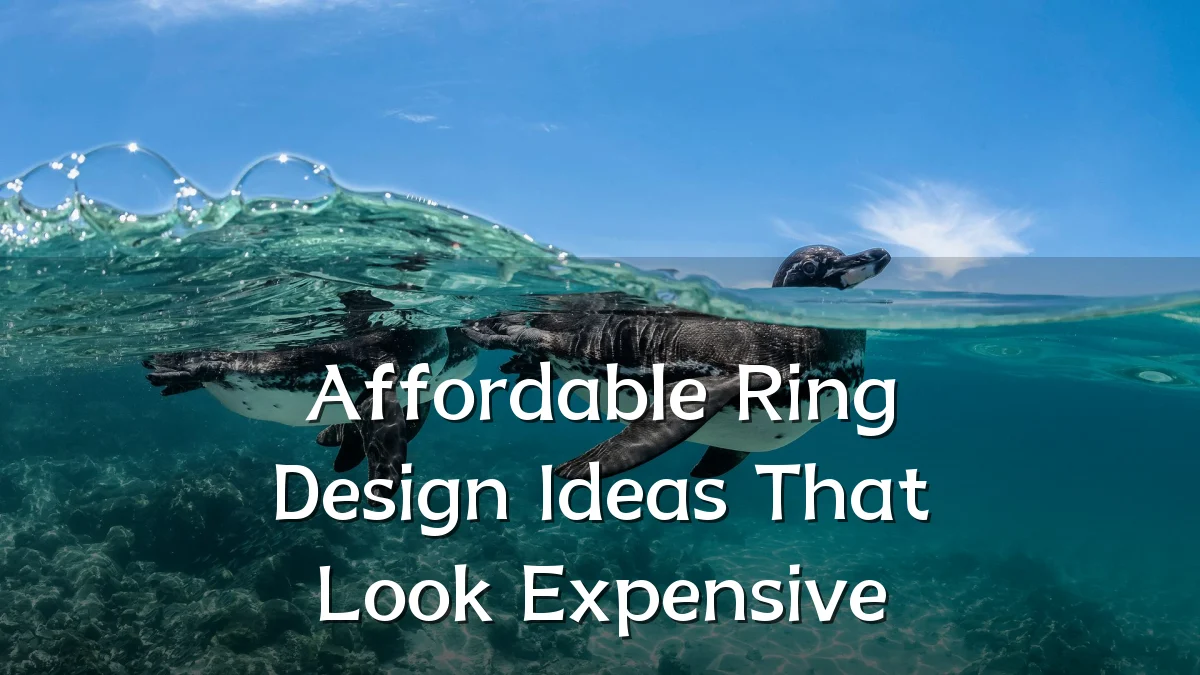 Affordable Ring Design Ideas That Look Expensive