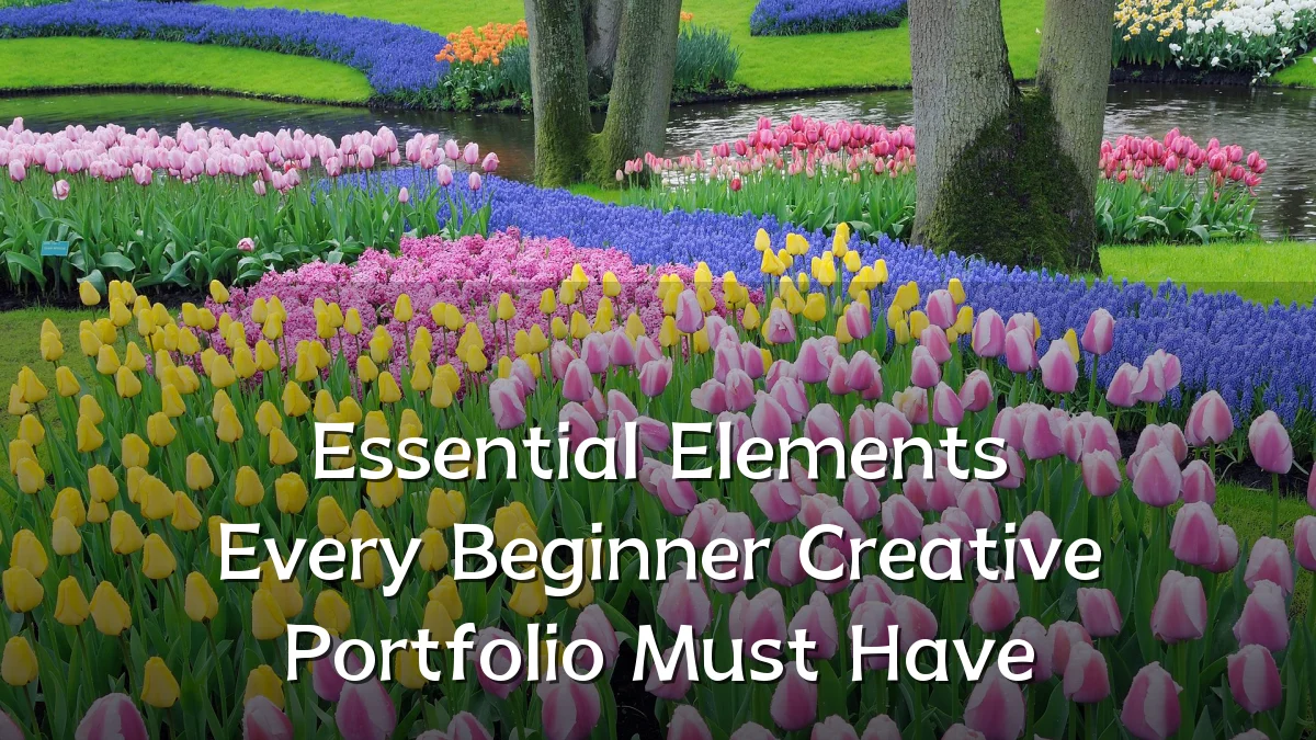 Essential Elements Every Beginner Creative Portfolio Must Have