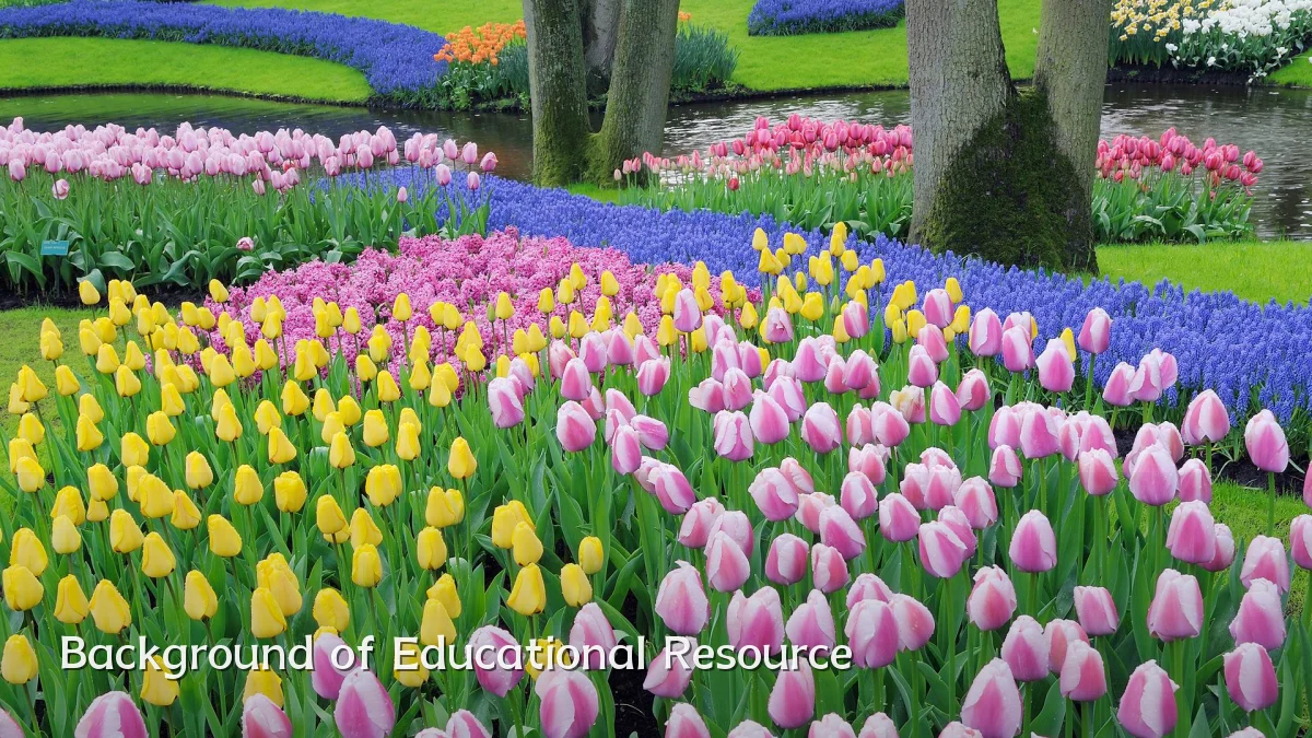 Background of Educational Resource
