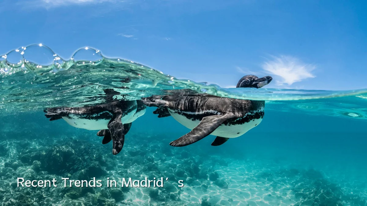 Recent Trends in Madrid’s