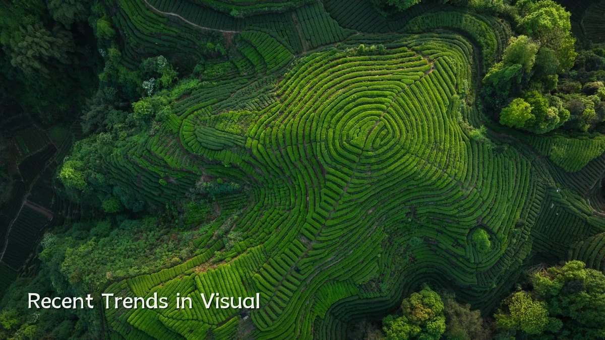 Recent Trends in Visual