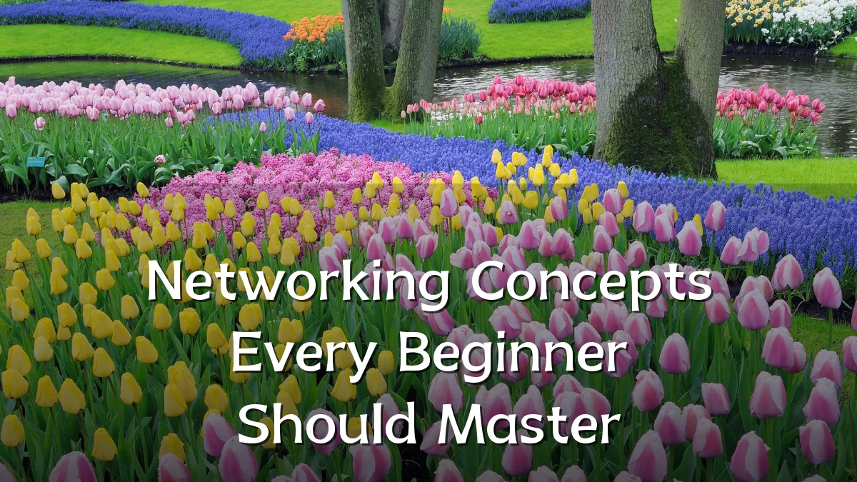 Networking Concepts Every Beginner Should Master