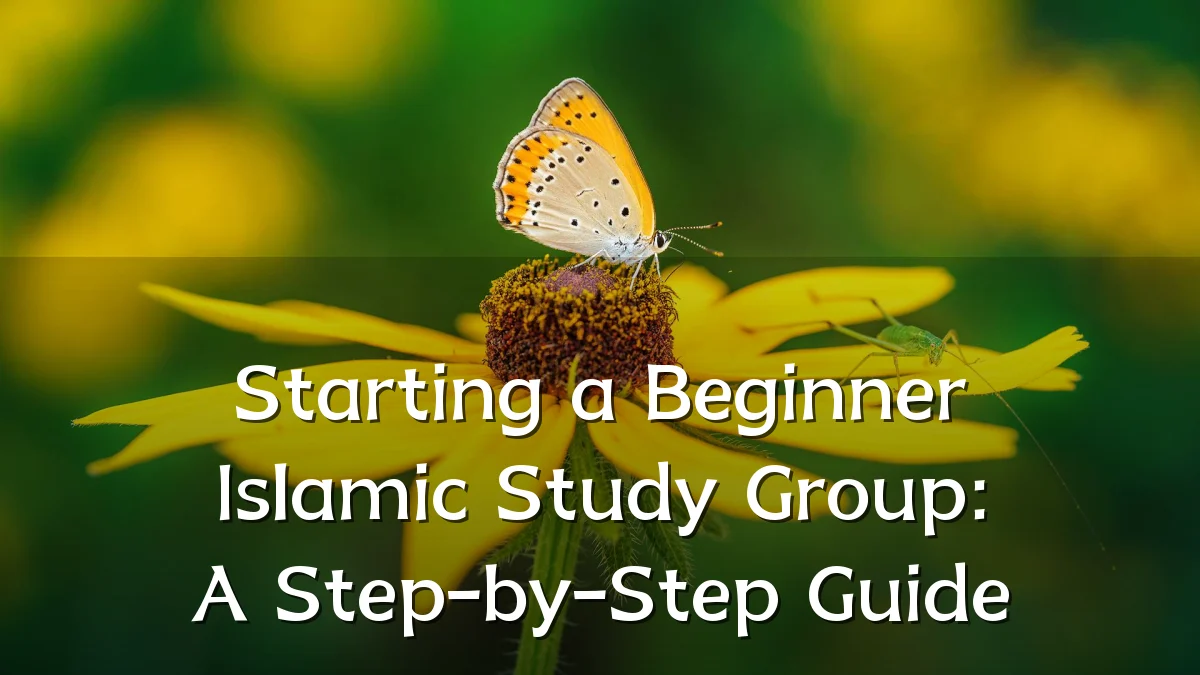 Starting a Beginner Islamic Study Group: A Step-by-Step Guide