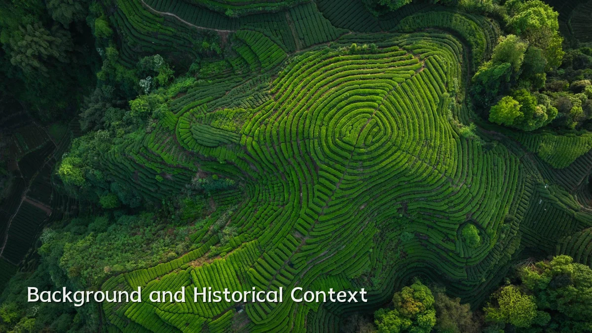 Background and Historical Context