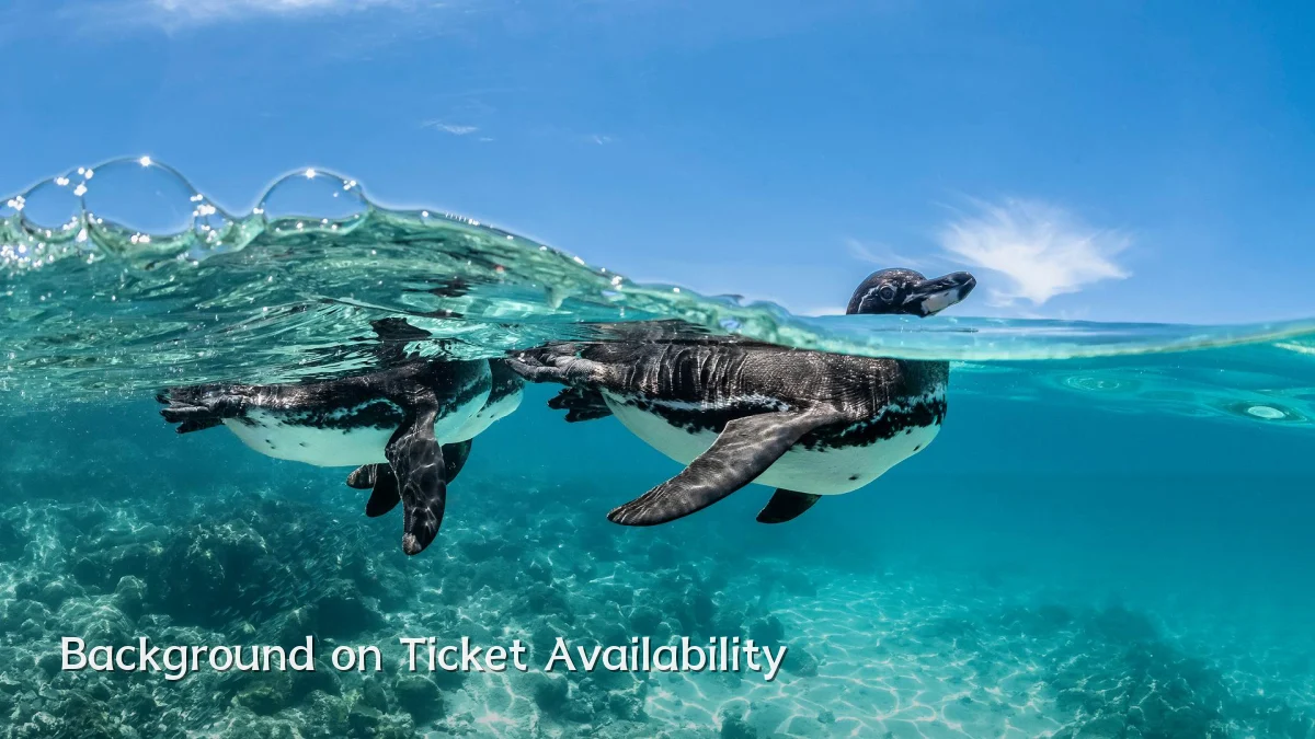 Background on Ticket Availability
