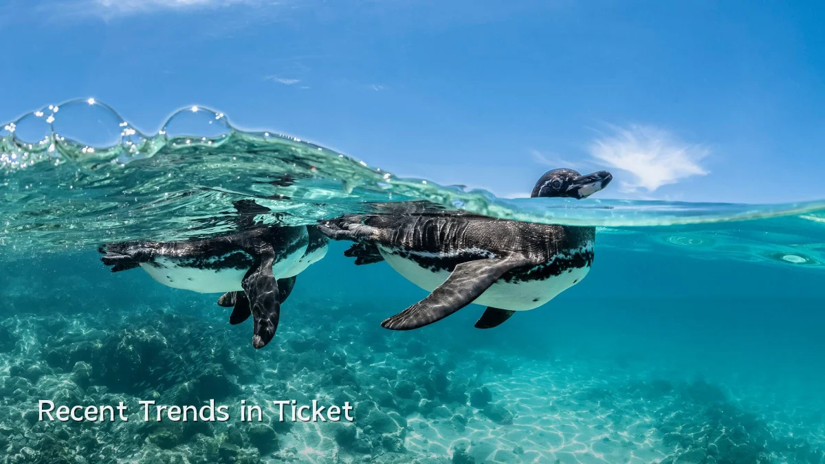 Recent Trends in Ticket