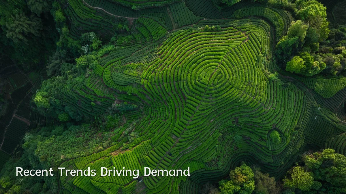 Recent Trends Driving Demand