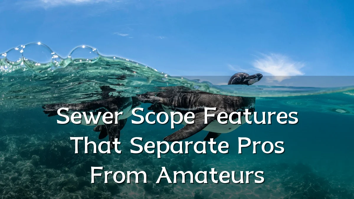 Sewer Scope Features That Separate Pros From Amateurs
